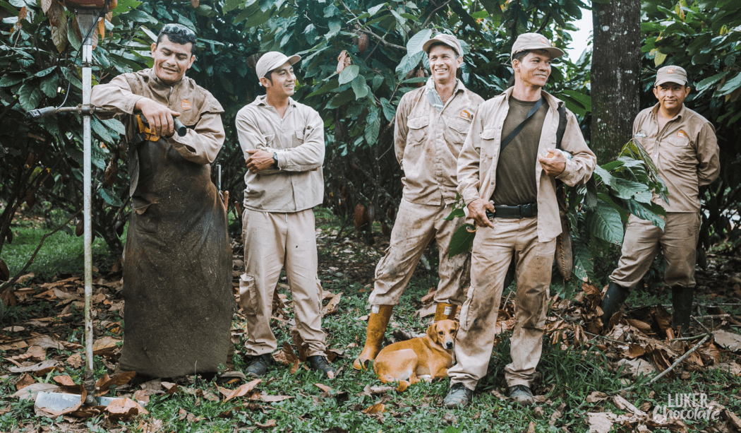 5 cocoa bean farmers